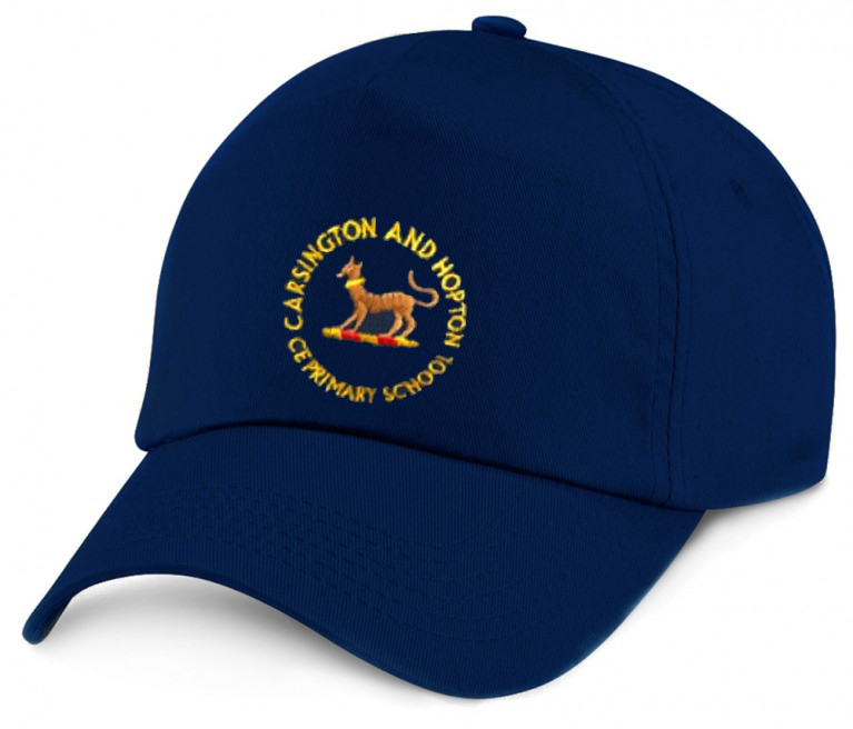 Navy Cap
