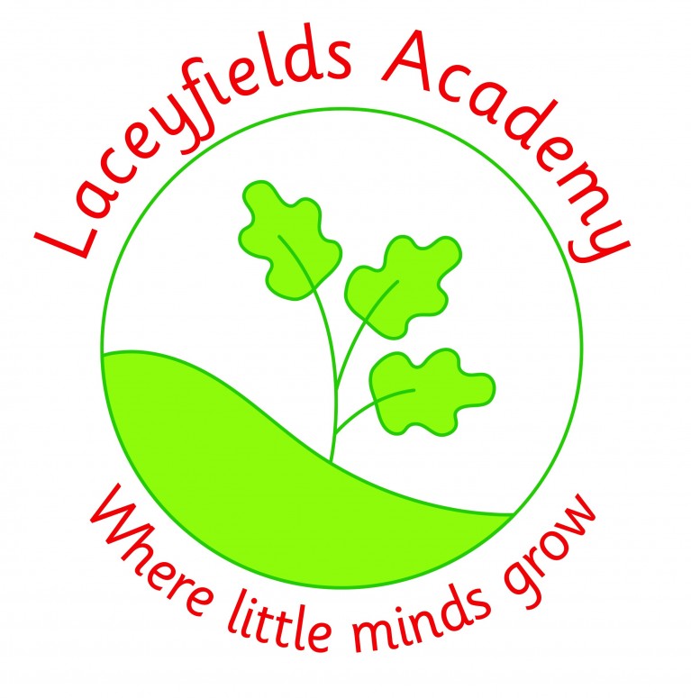 Laceyfields Academy