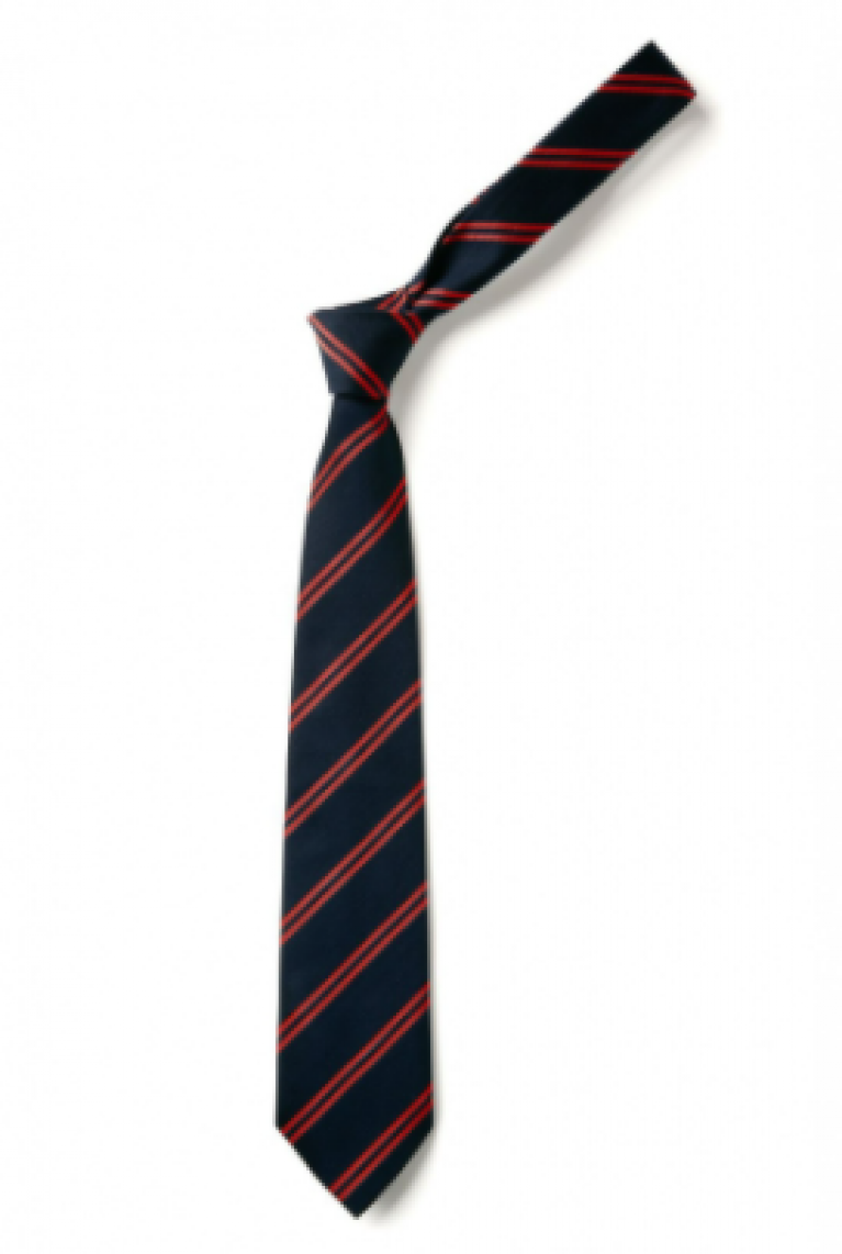 Infant Clip on Tie  12"
