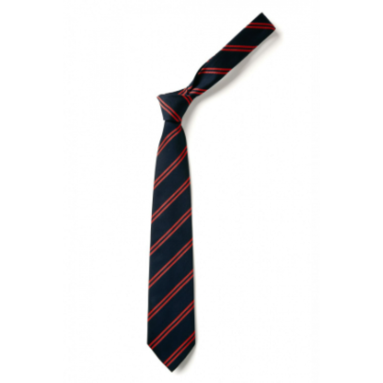 Infant Clip on Tie  12"