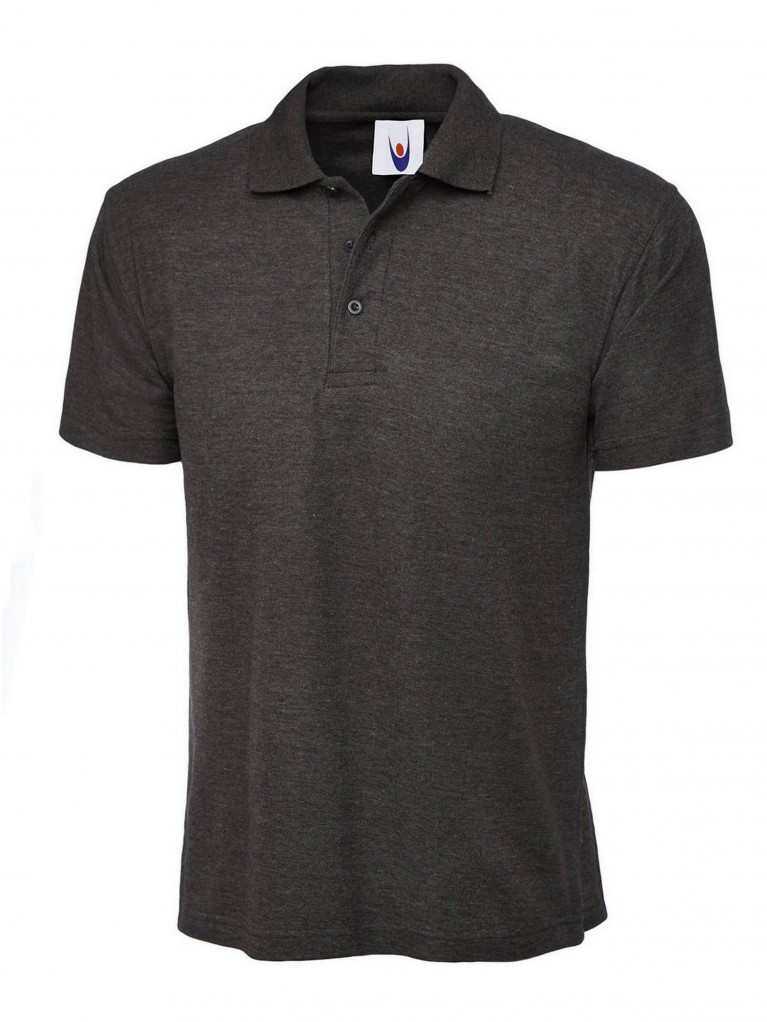 Classic Polo Shirt embroidered with school logo