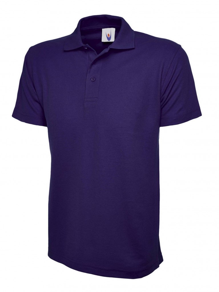 Classic Polo Shirt embroidered with school logo