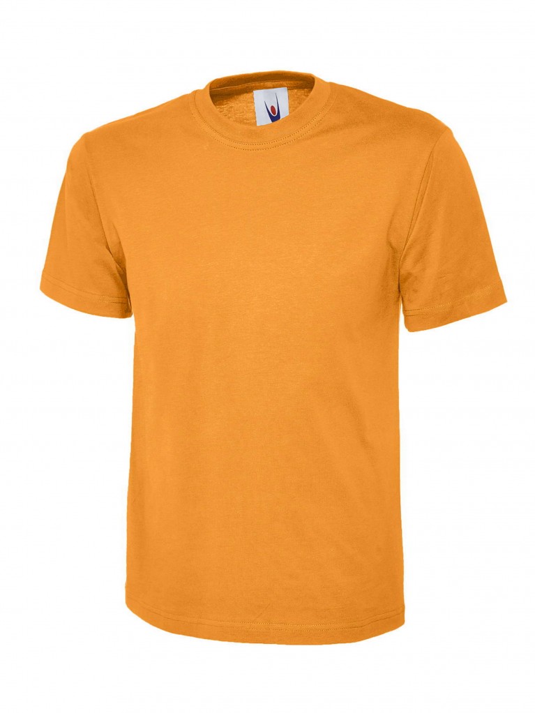 Classic T-Shirt embroidered with school logo