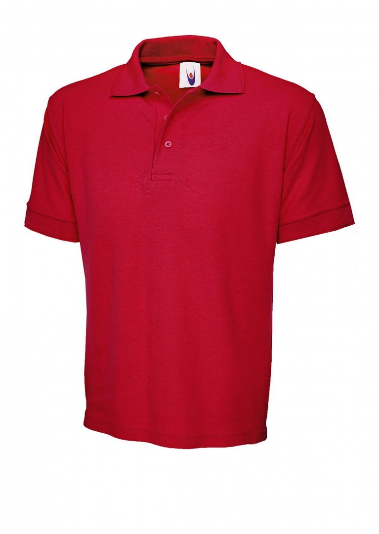 Premium Polo Shirt embroidered with school logo