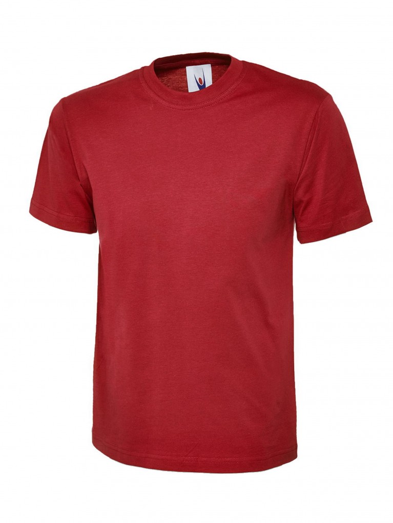 Premium T-Shirt embroidered with school logo