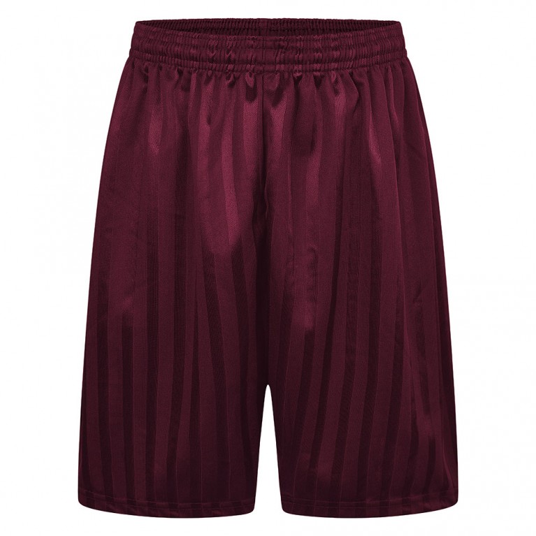 Boys Maroon Shadow Striped Shorts