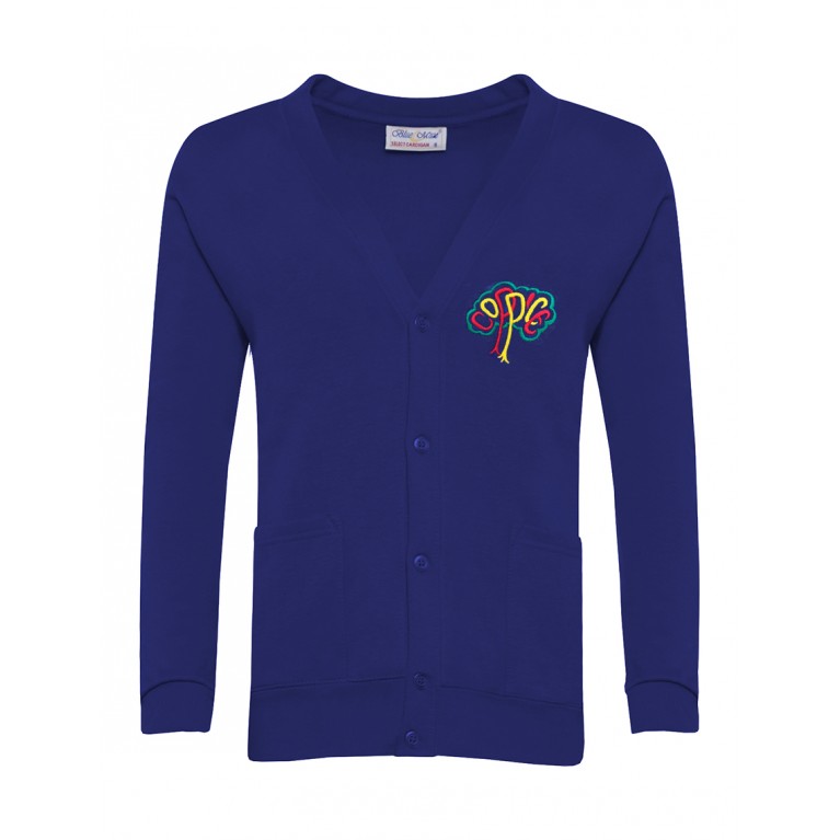 Blue 70/30 Cardigan 