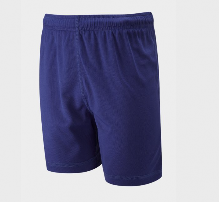 Royal P.E Shorts