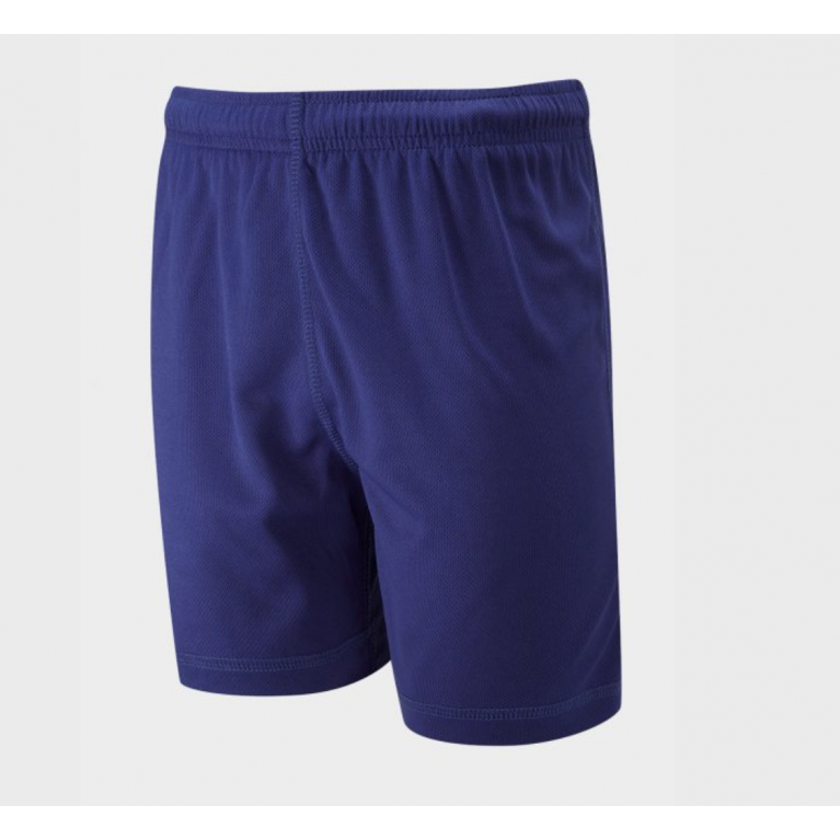 Royal P.E Shorts