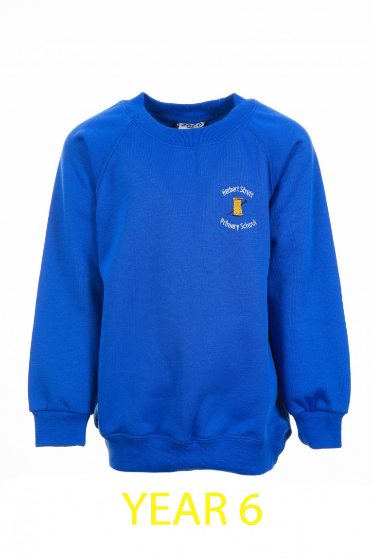 Year 6 Printed Blue Sweatshirt 