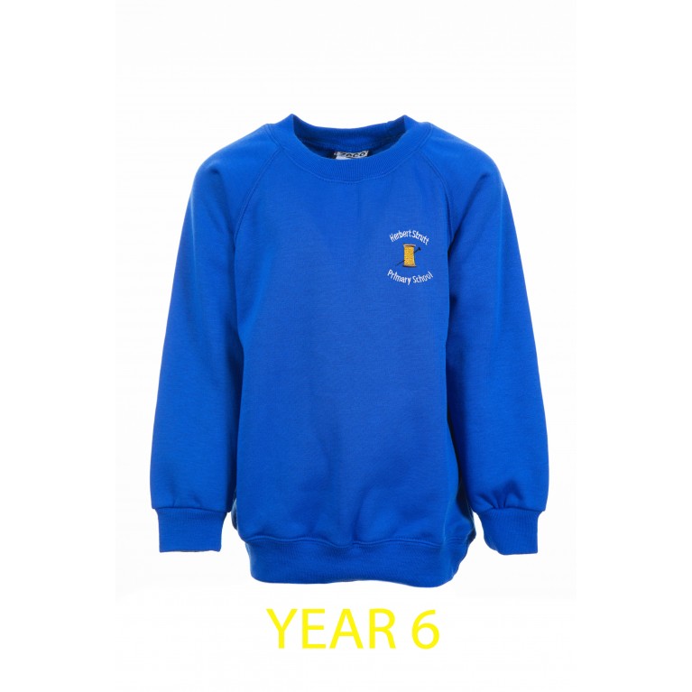 Year 6 Printed Blue Sweatshirt 