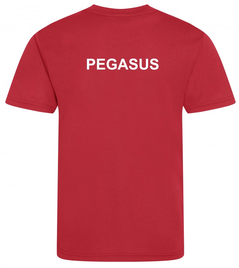Red Cool T-Shirt for P.E - Pegasus