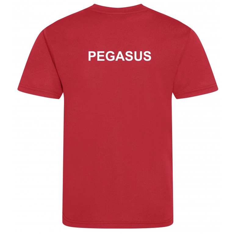 Red Cool T-Shirt for P.E - Pegasus