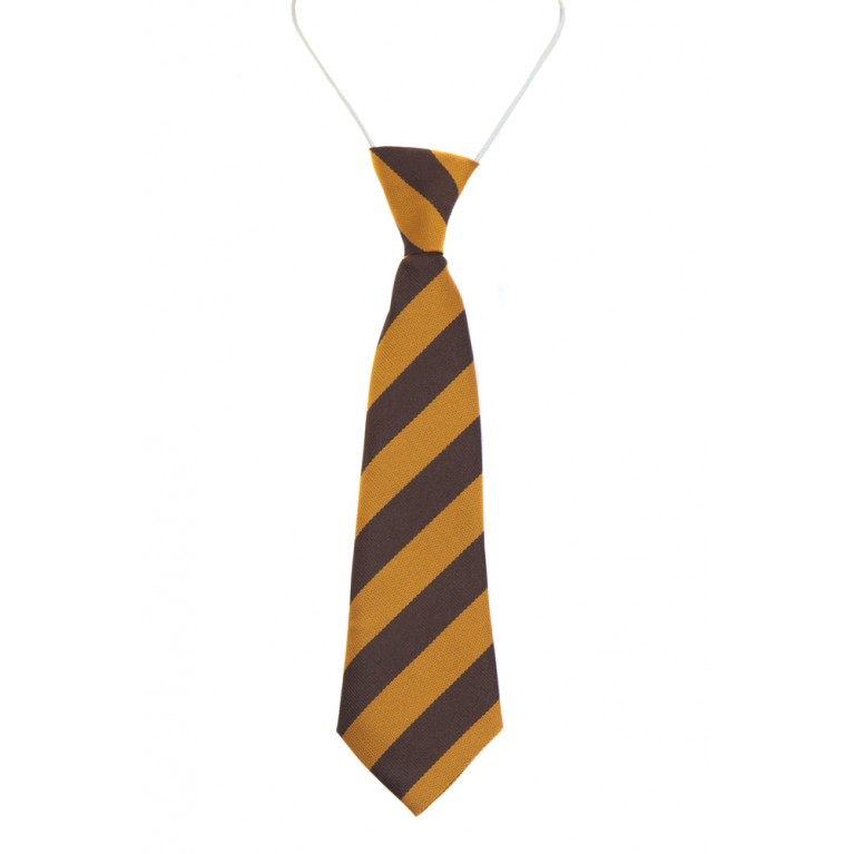 Elastic Tie 