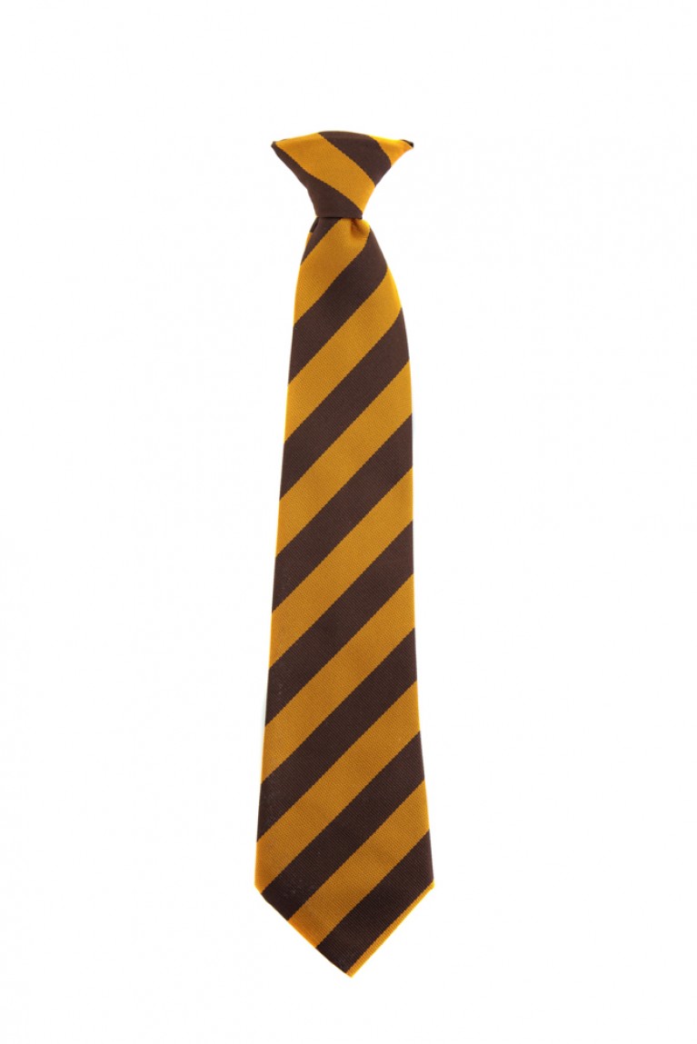 Clip on Tie