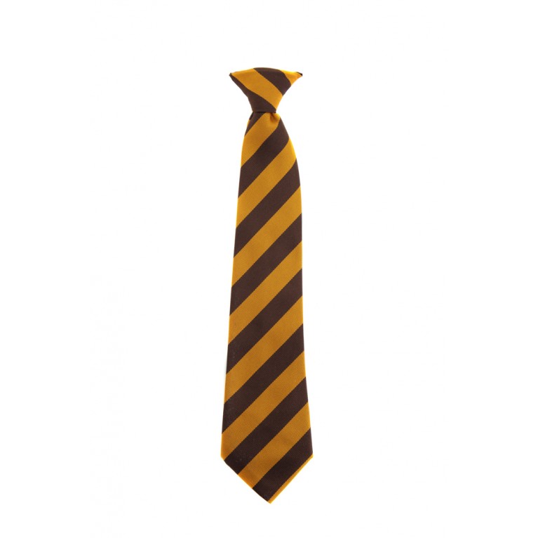 Clip on Tie