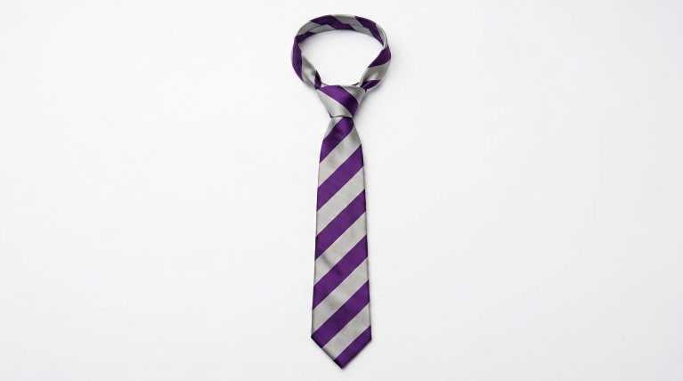 BRO Purple and Silver Tie